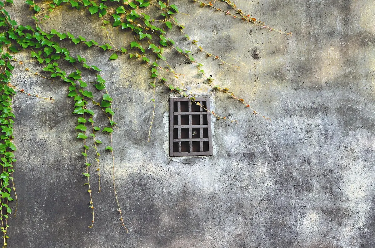 生命畫語  心 窗