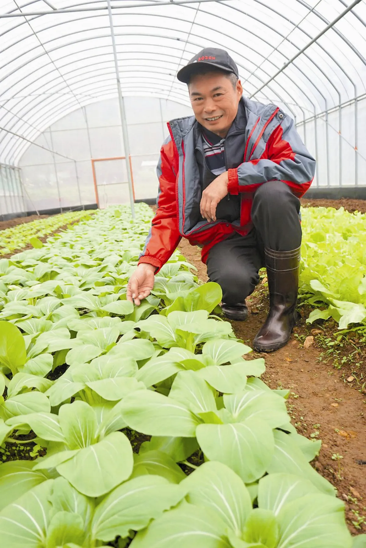 黑手成綠手指 高福生種有機蔬菜