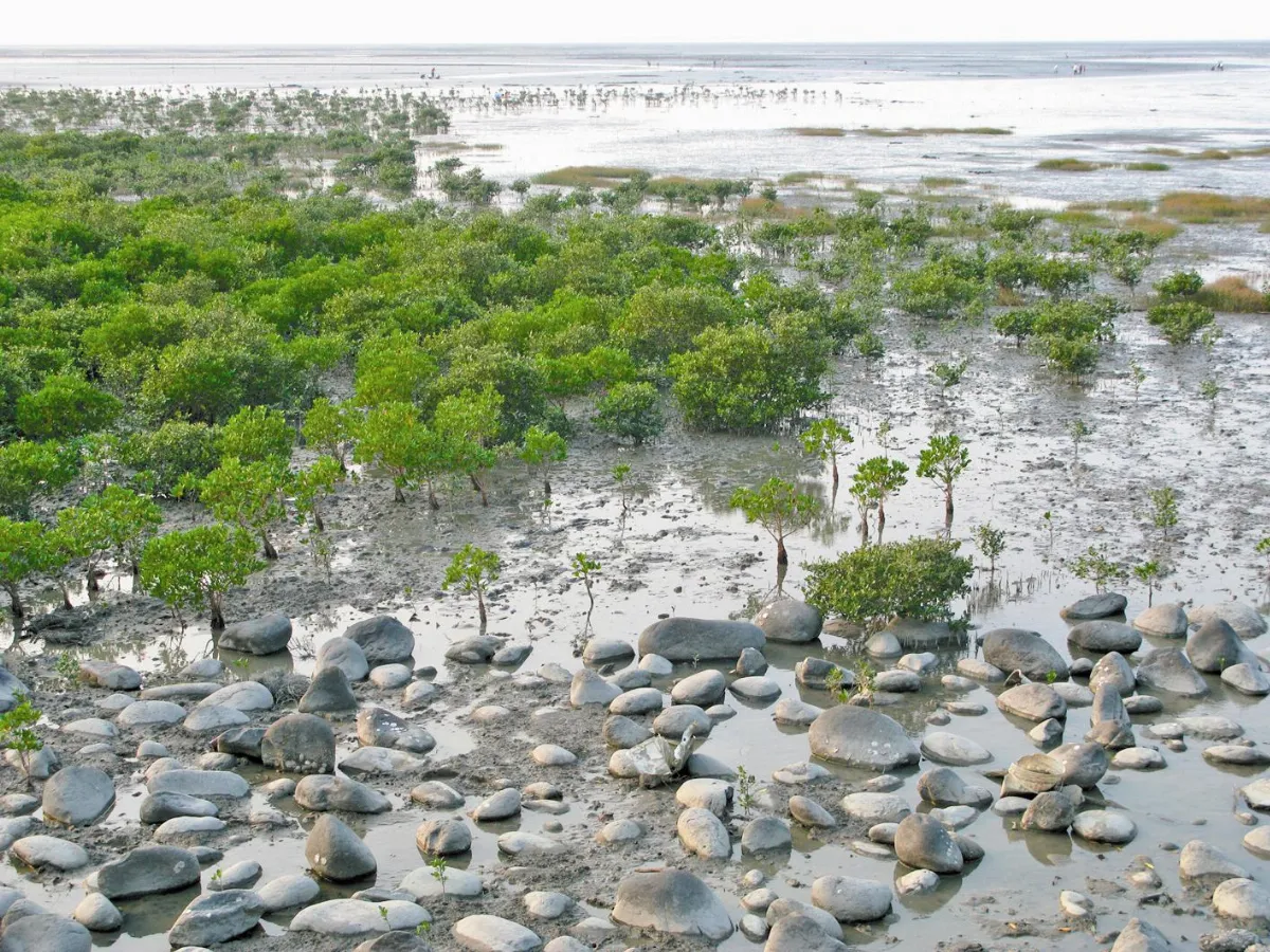 詩 十七公里海岸