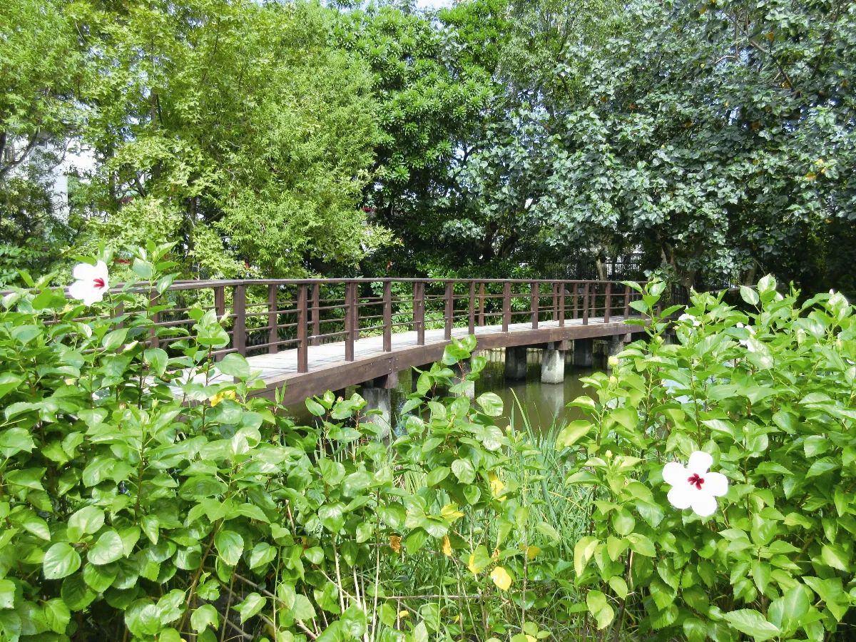 印象旅人 台北也有莫內花園