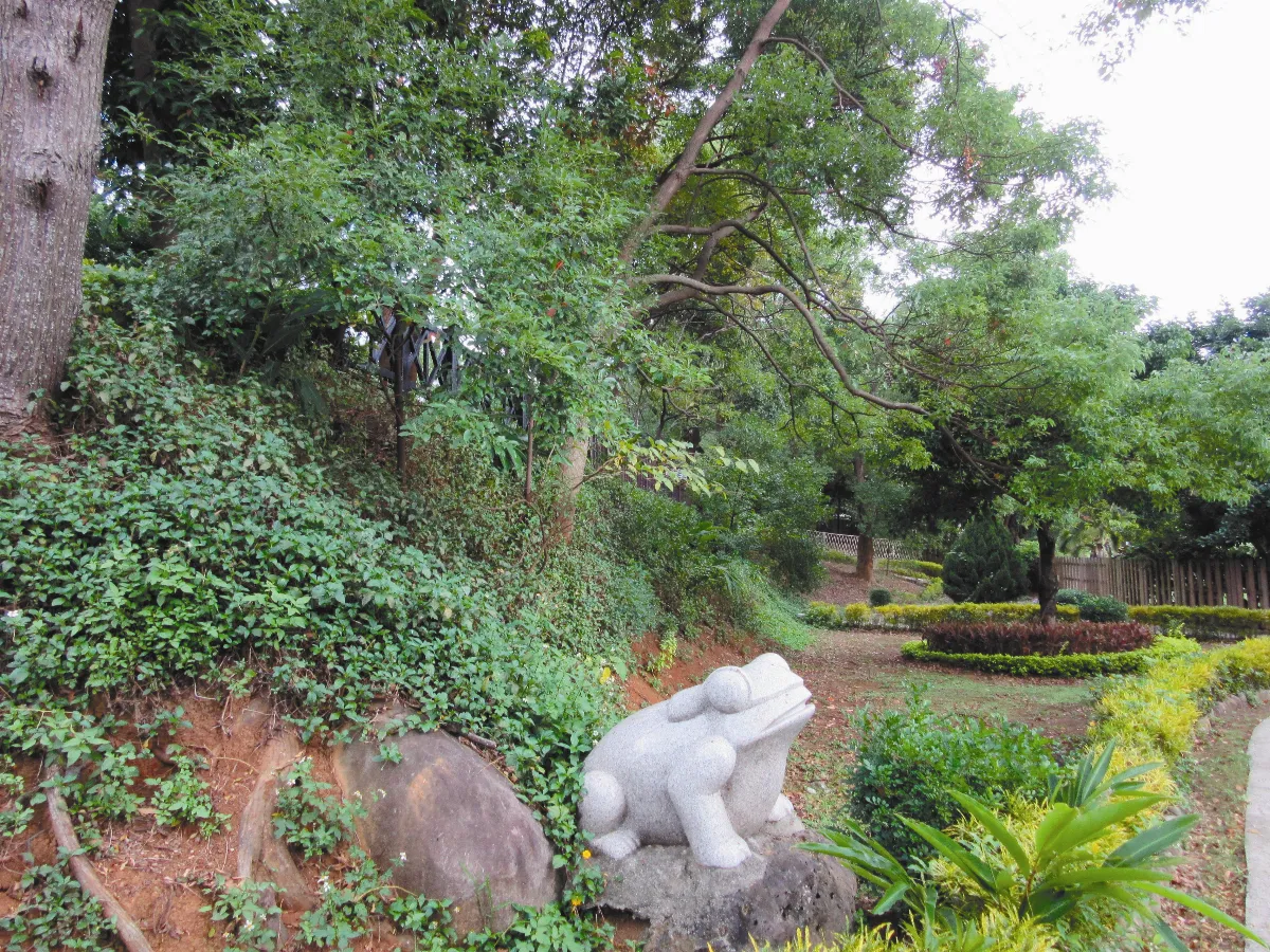 從古戰場到蛙公園