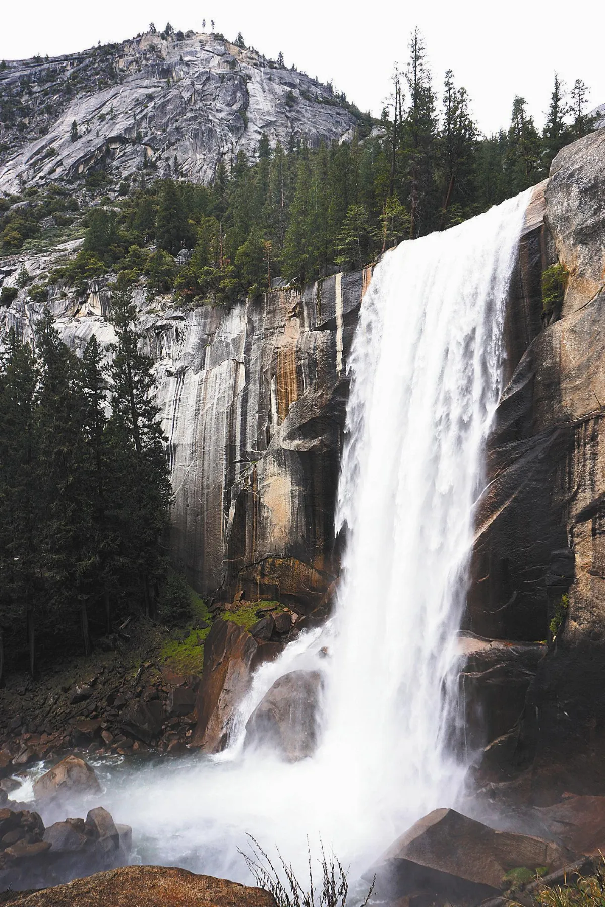 夜懸明鏡青天上 寂靜 瀕臨危機的自然資源
