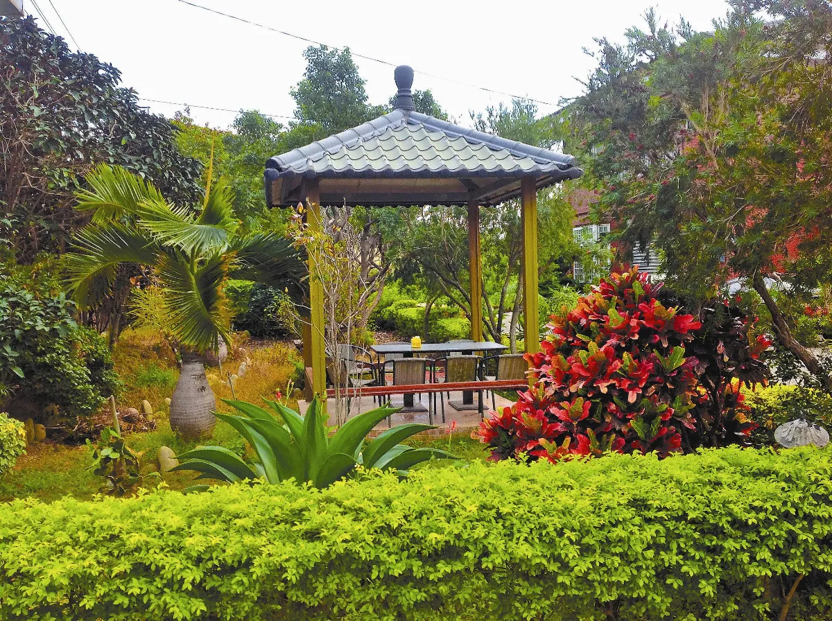 【人間植物禪】在鄉下的美感追求