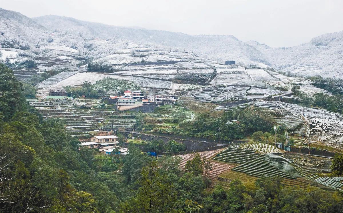 急凍蕃薯 全台瘋雪趣