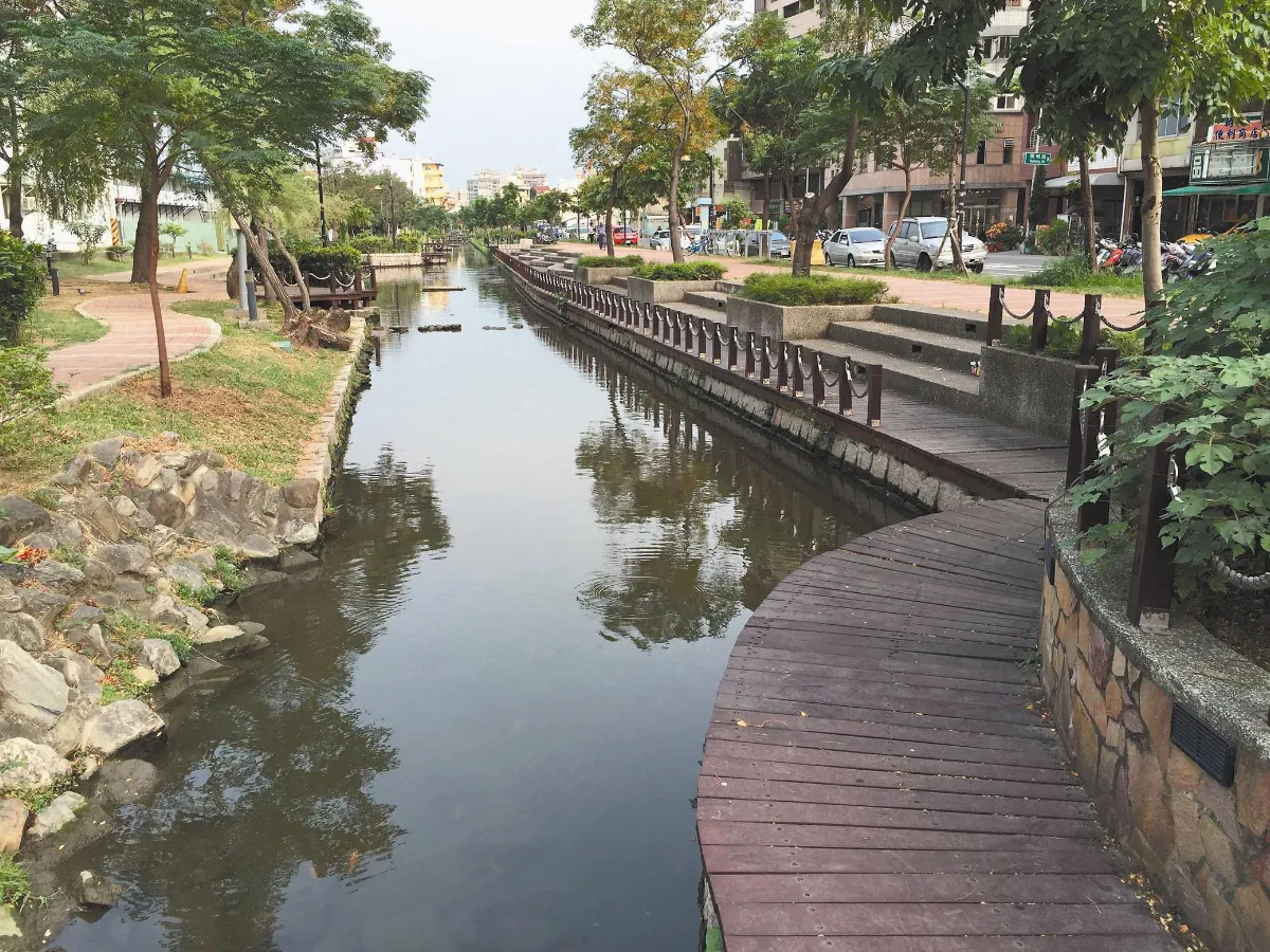 曹公圳錦鯉群游 都市小驚喜