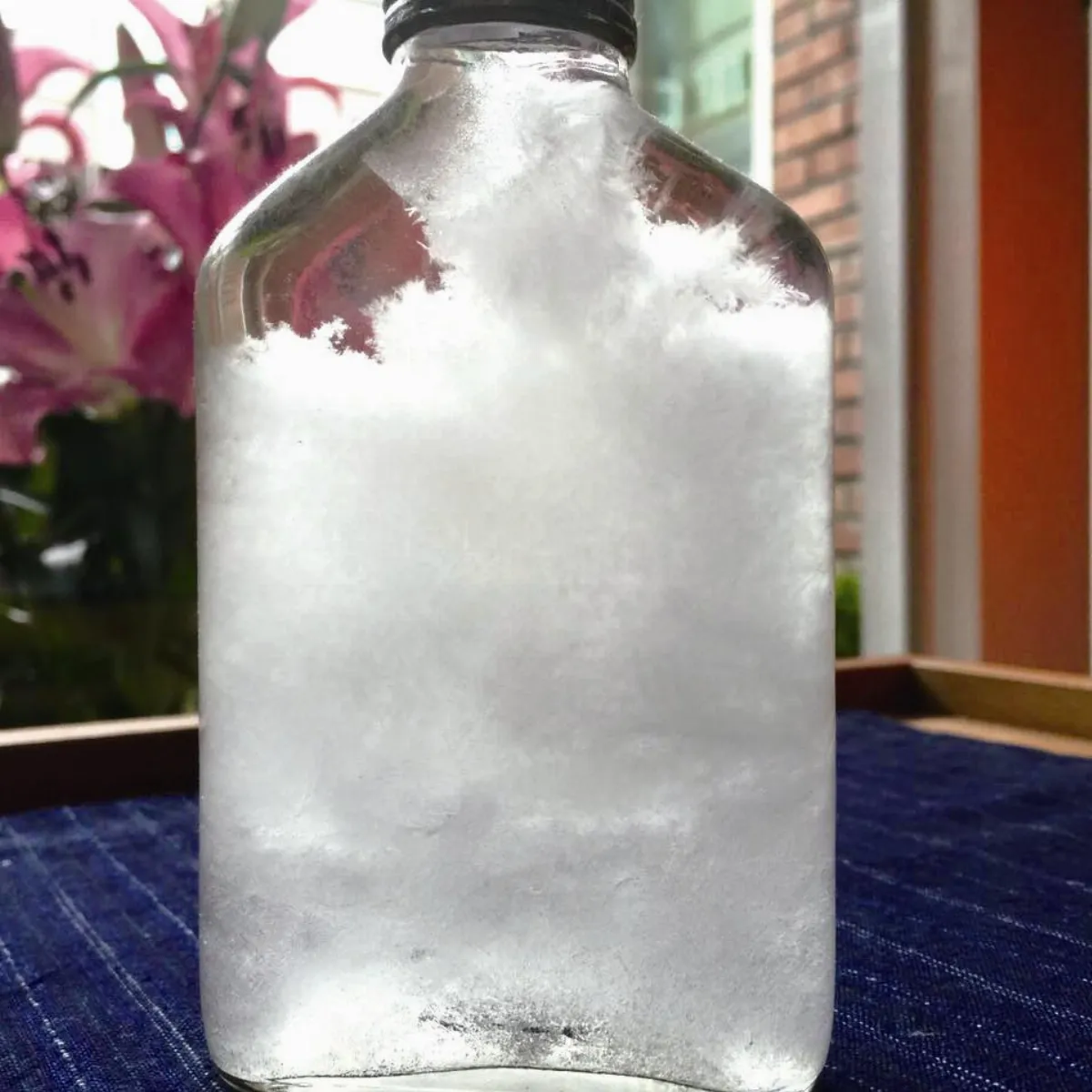 主婦小風景 白雪的洗淨