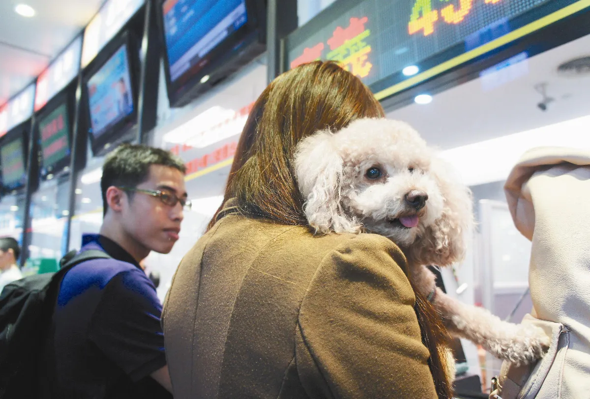 犬貓擬納管 出生、買賣上網登記