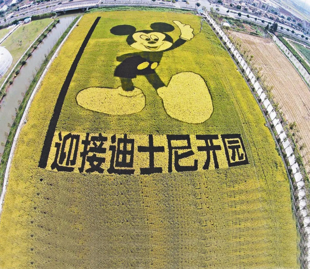 上海迪士尼 熱鬧開場敲鑼