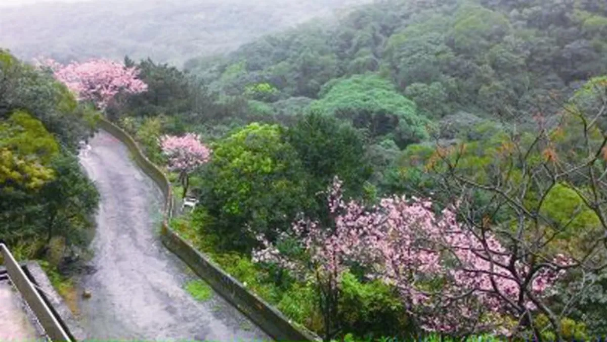 生命猶如山路