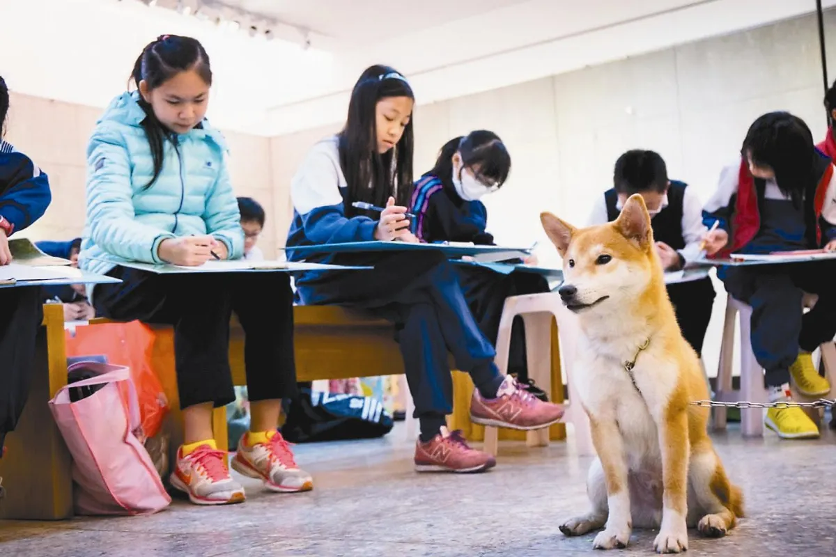 伴讀犬好客 成專業萌麻豆