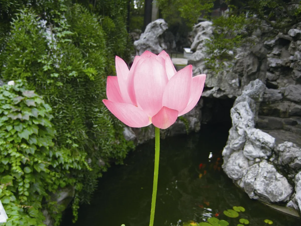 生命畫語 阿萬萬思想語錄