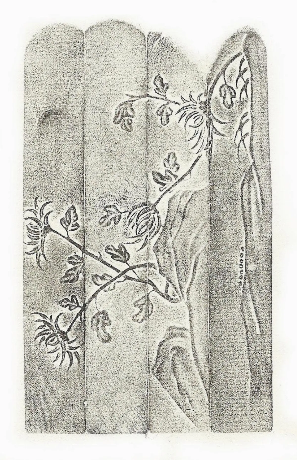 【清卿薄意】 菊花薄意方章