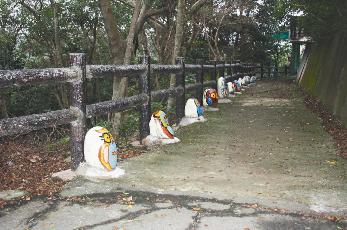 海山之路 老松聳立櫻花開