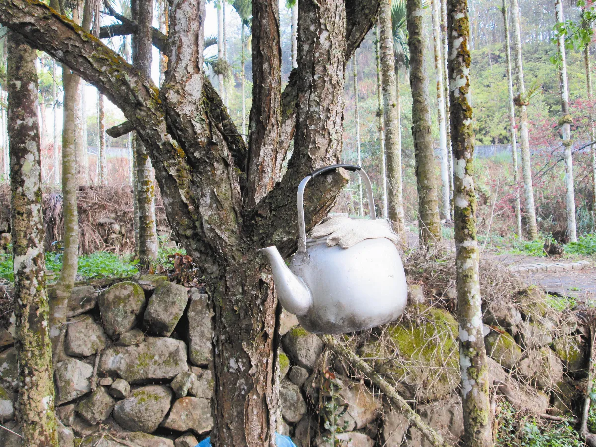 生活快門 山中的悠閒