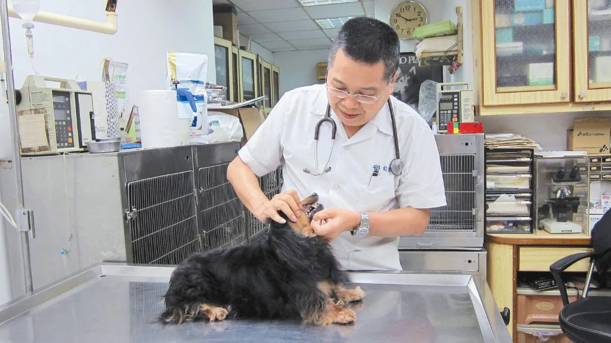 獸醫師出走陸港澳 薪資漲3倍