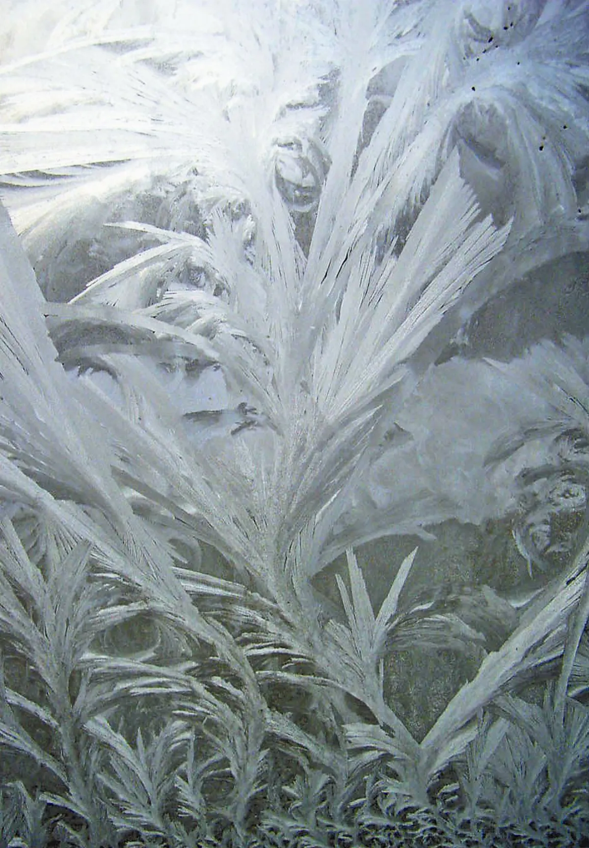 浮世畫框 玻璃窗上的風雪畫