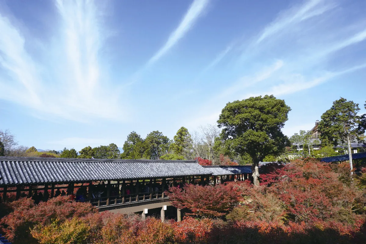 海闊天空 京都紅葉紀行