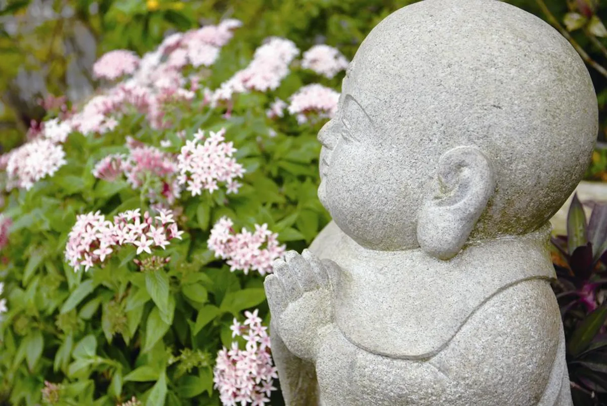 花開禪心   心與境