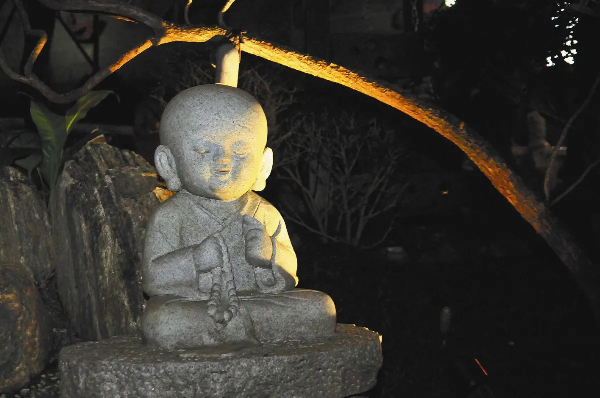 花開禪心  覺醒