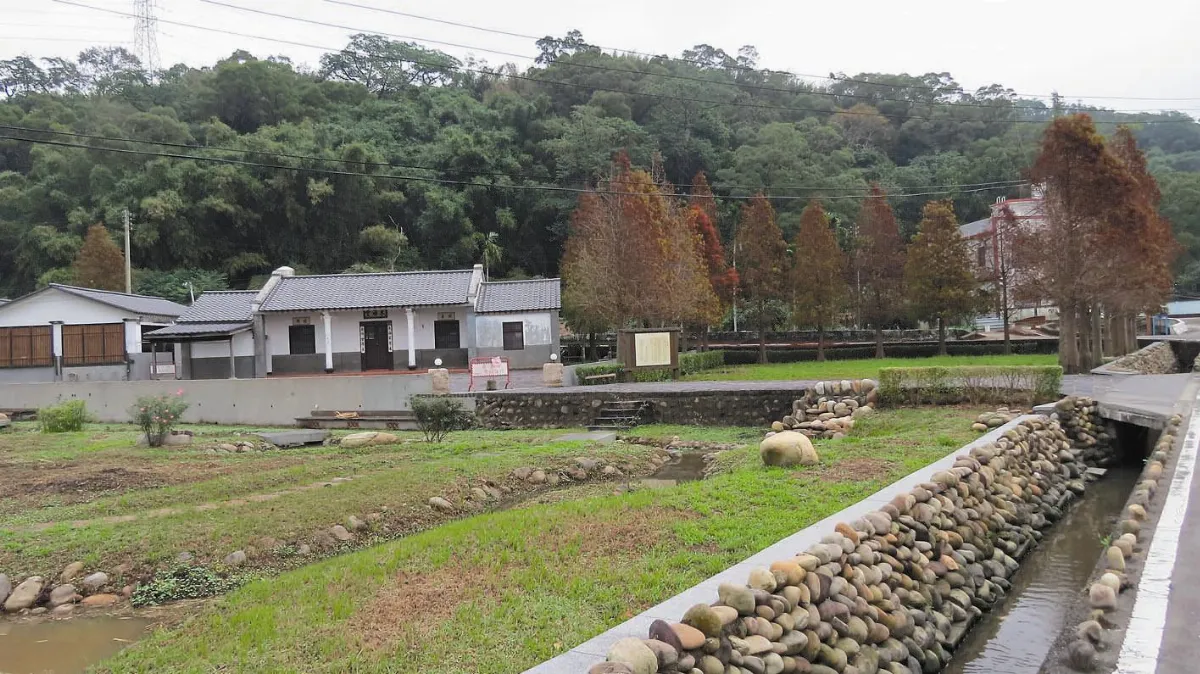 外獅潭落羽松美景 季節限定