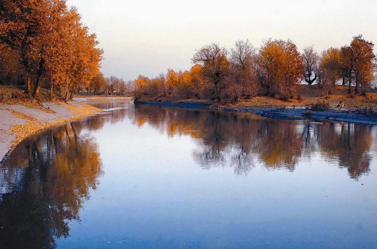 水的種種 六 之 四