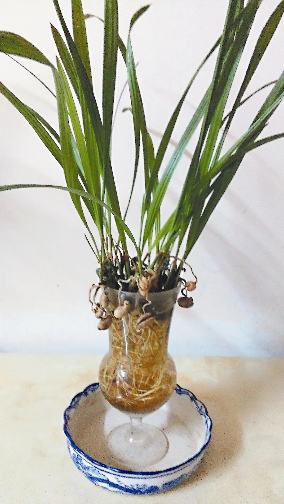 生活巧思 再生花器