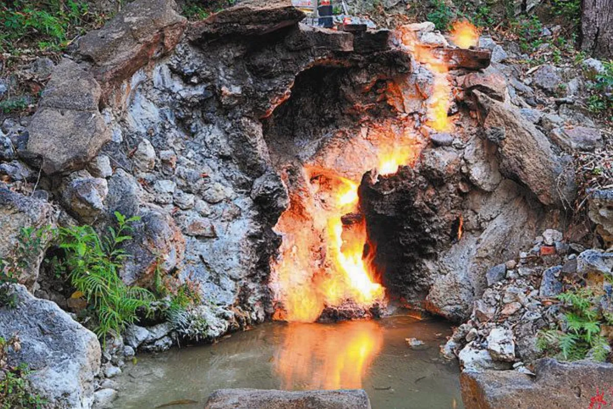 台灣溫泉知多少？