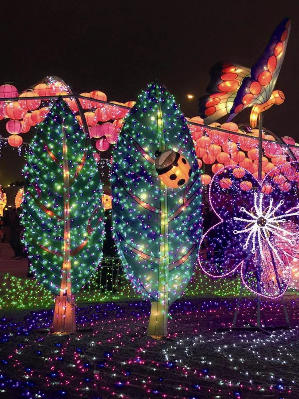 主婦小風景 霧裡看花燈