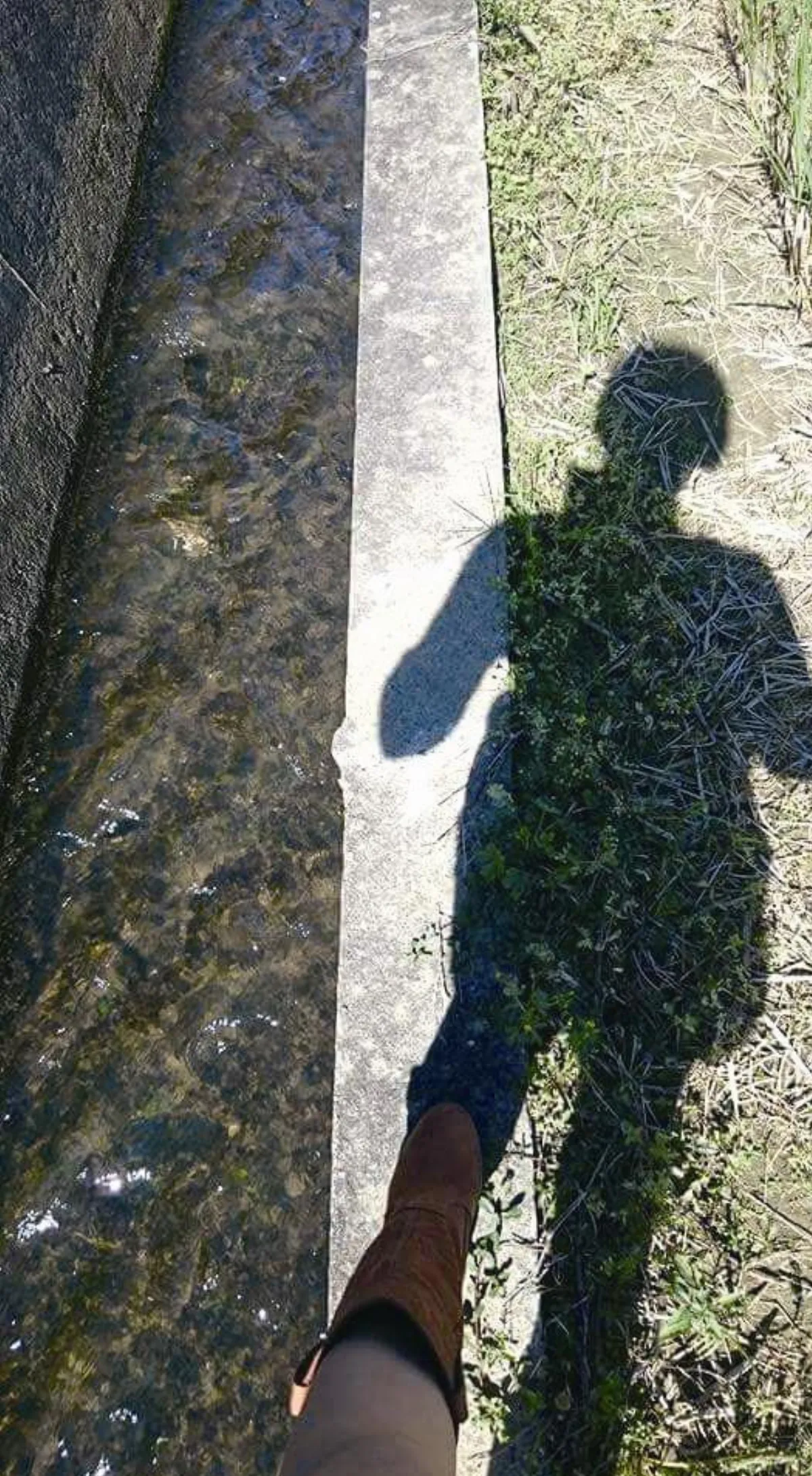 生活快門 跟著感覺走