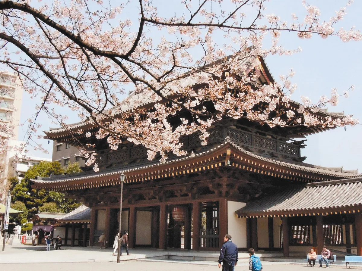 跟著偶像逛神社 私房景點夯