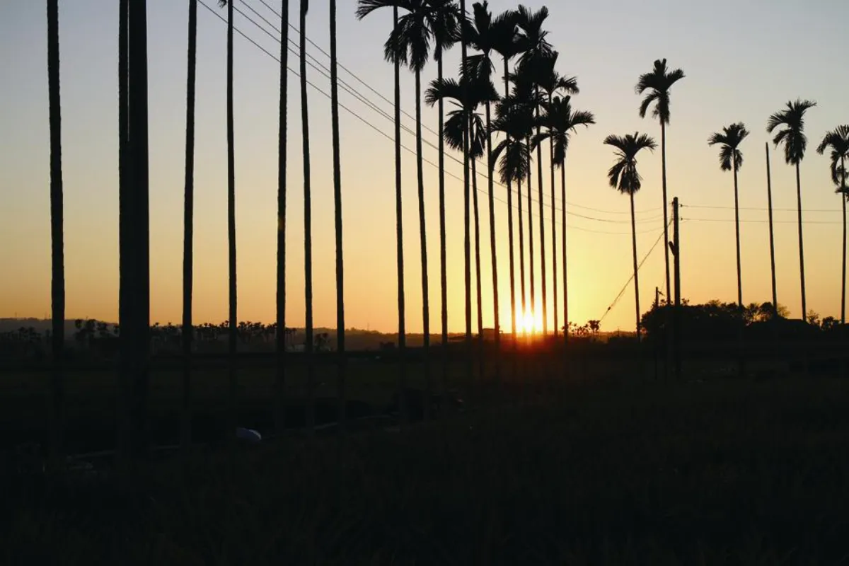 生活快門 故鄉的夕陽