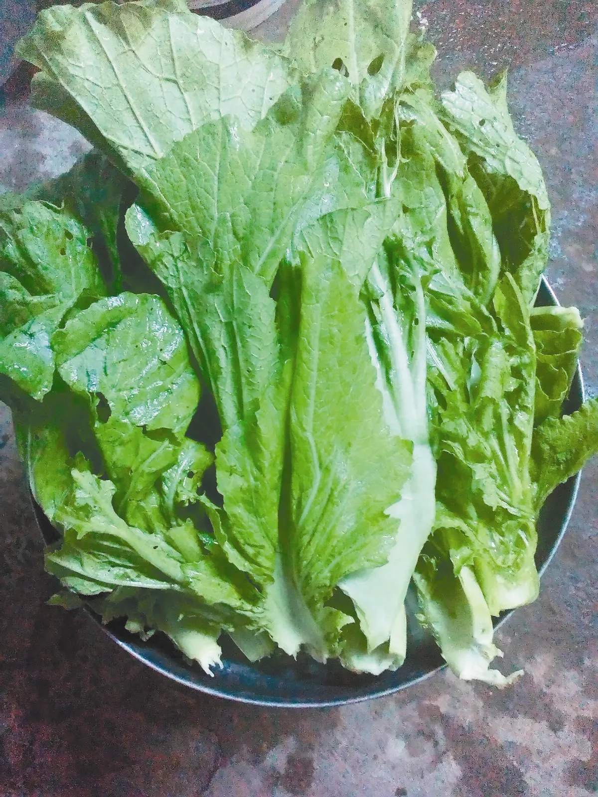 天然園 好香好濃的刈菜