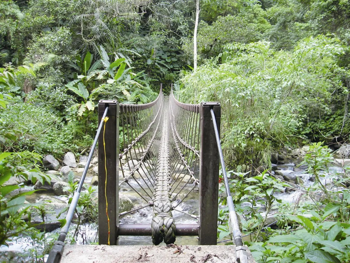 與青山同遊