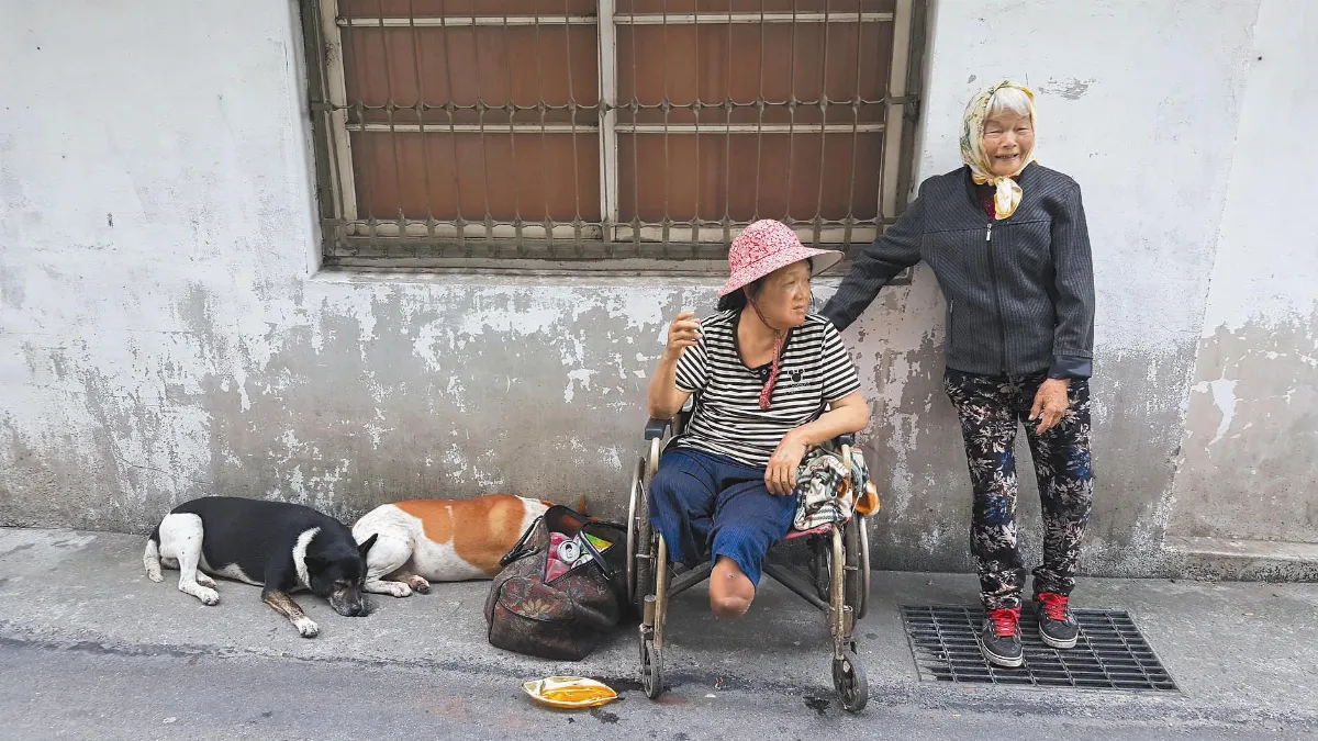 街角的愛 兩老伴老狗