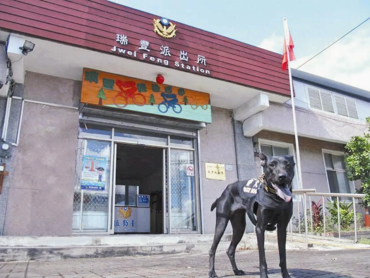 流浪犬成警犬     派出所執行勤務