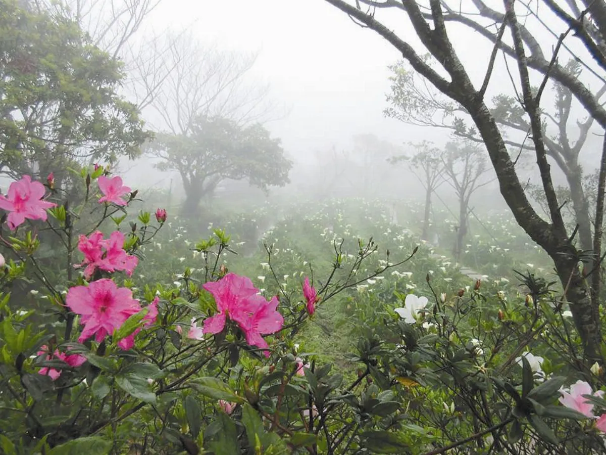 春雨