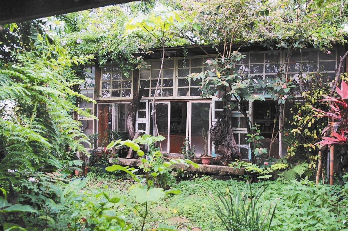 「千畦種子館」隱身台南市區 為護樹 這座博物館歪著蓋