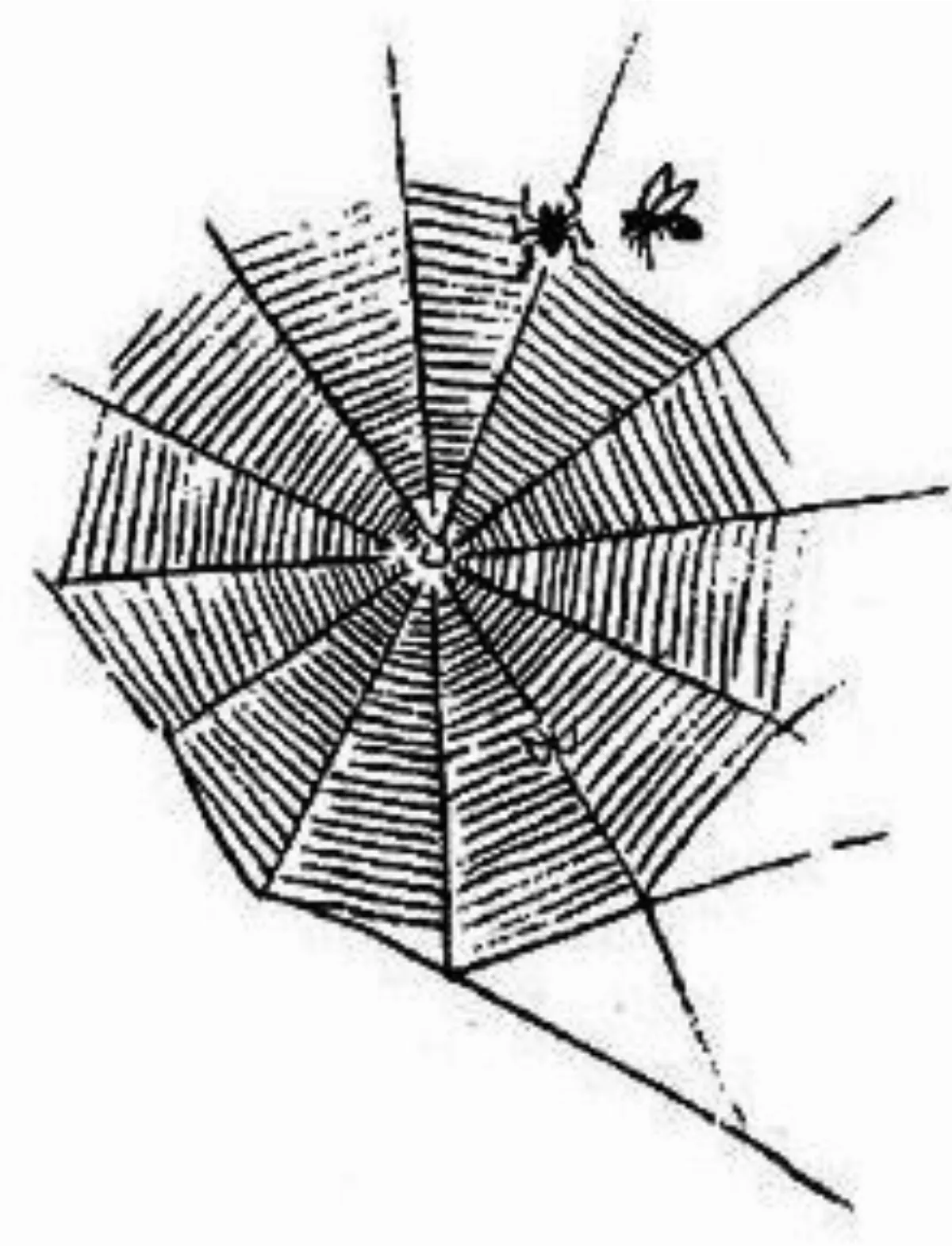 【豐子愷．護生畫集】蜂救飛蛾