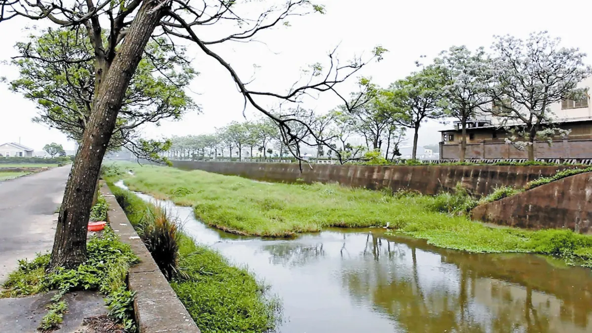 燒炭窩溪 浪漫紫 踏鐵馬 燒炭窩溪覓花香