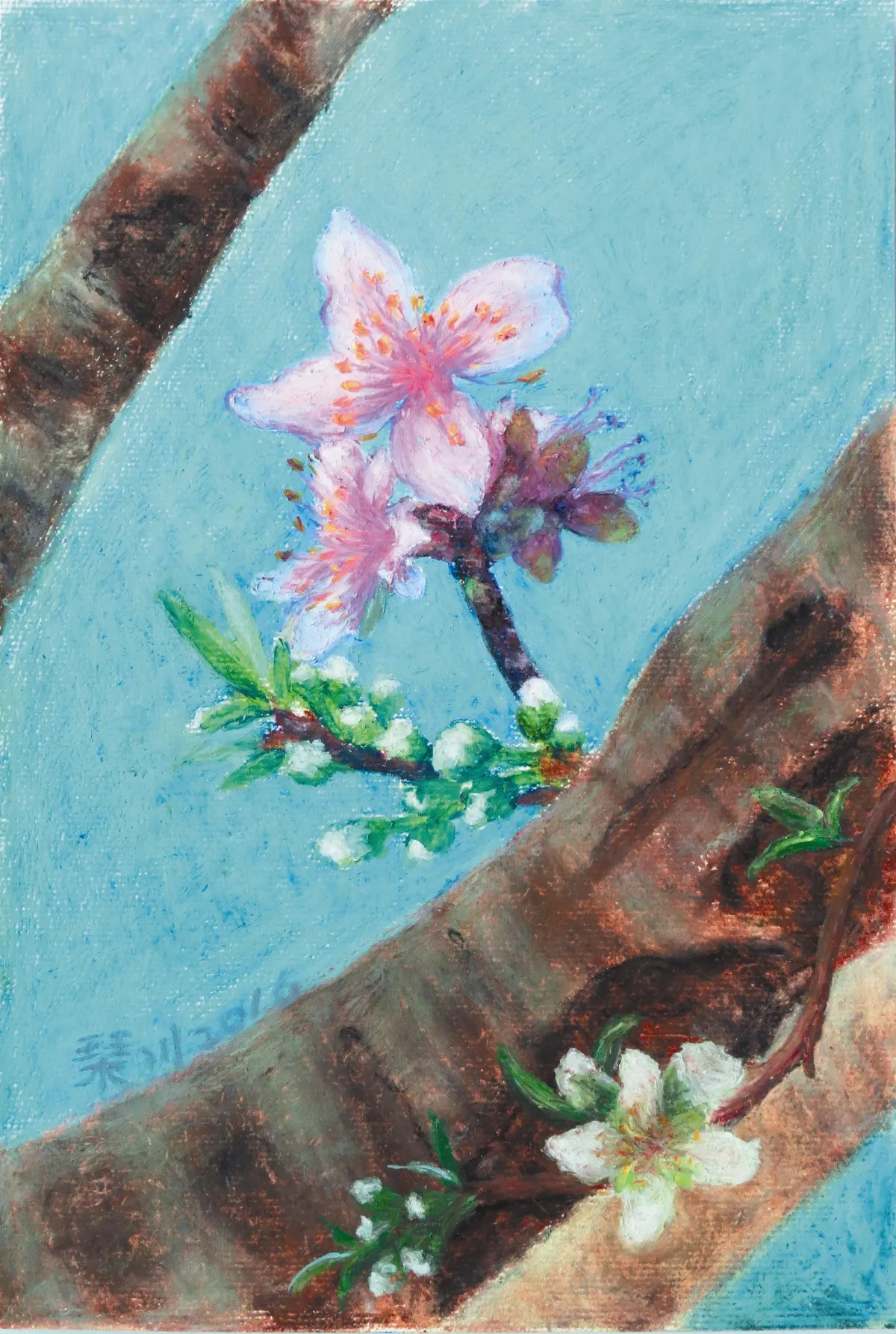 浮世畫框  花嫁