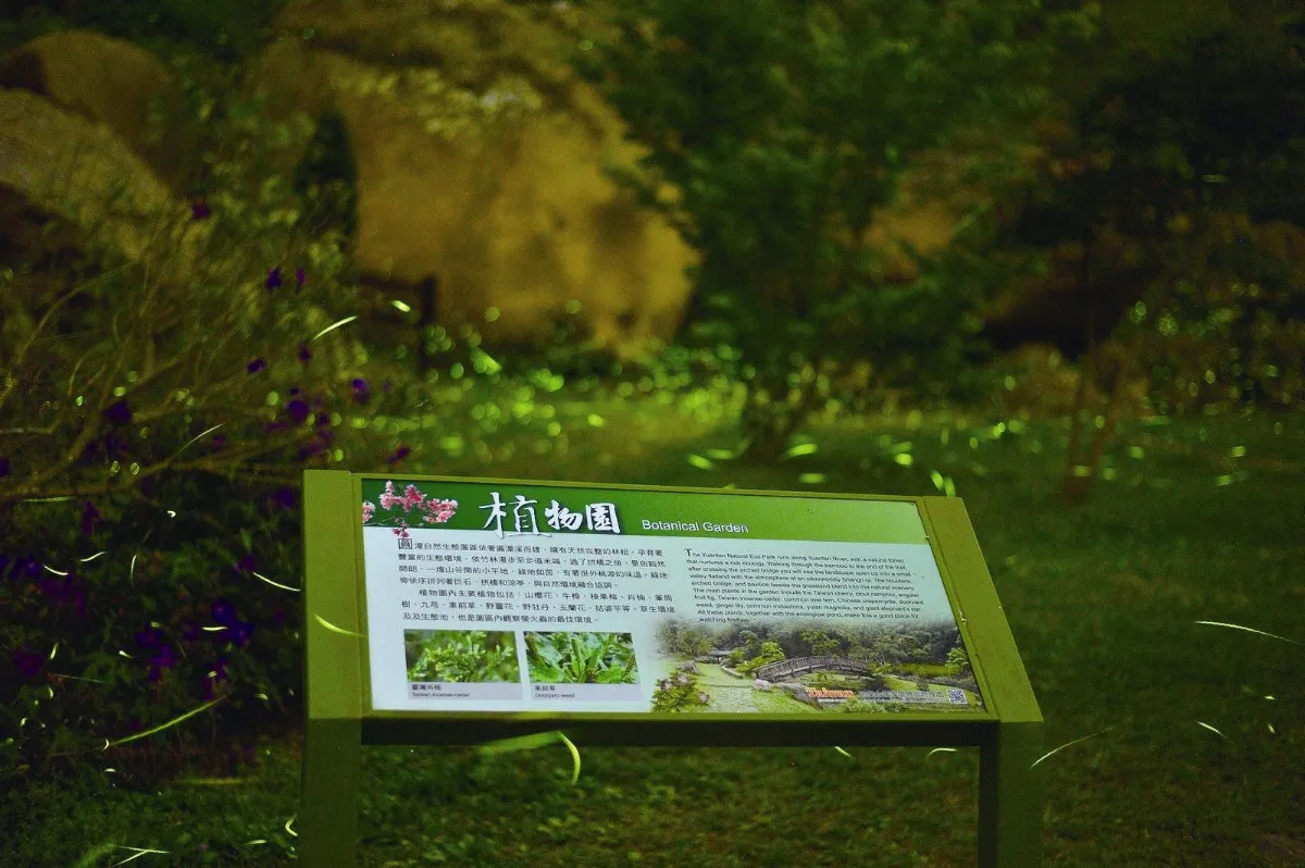 旅遊大小事 阿里山螢光Bling Bling