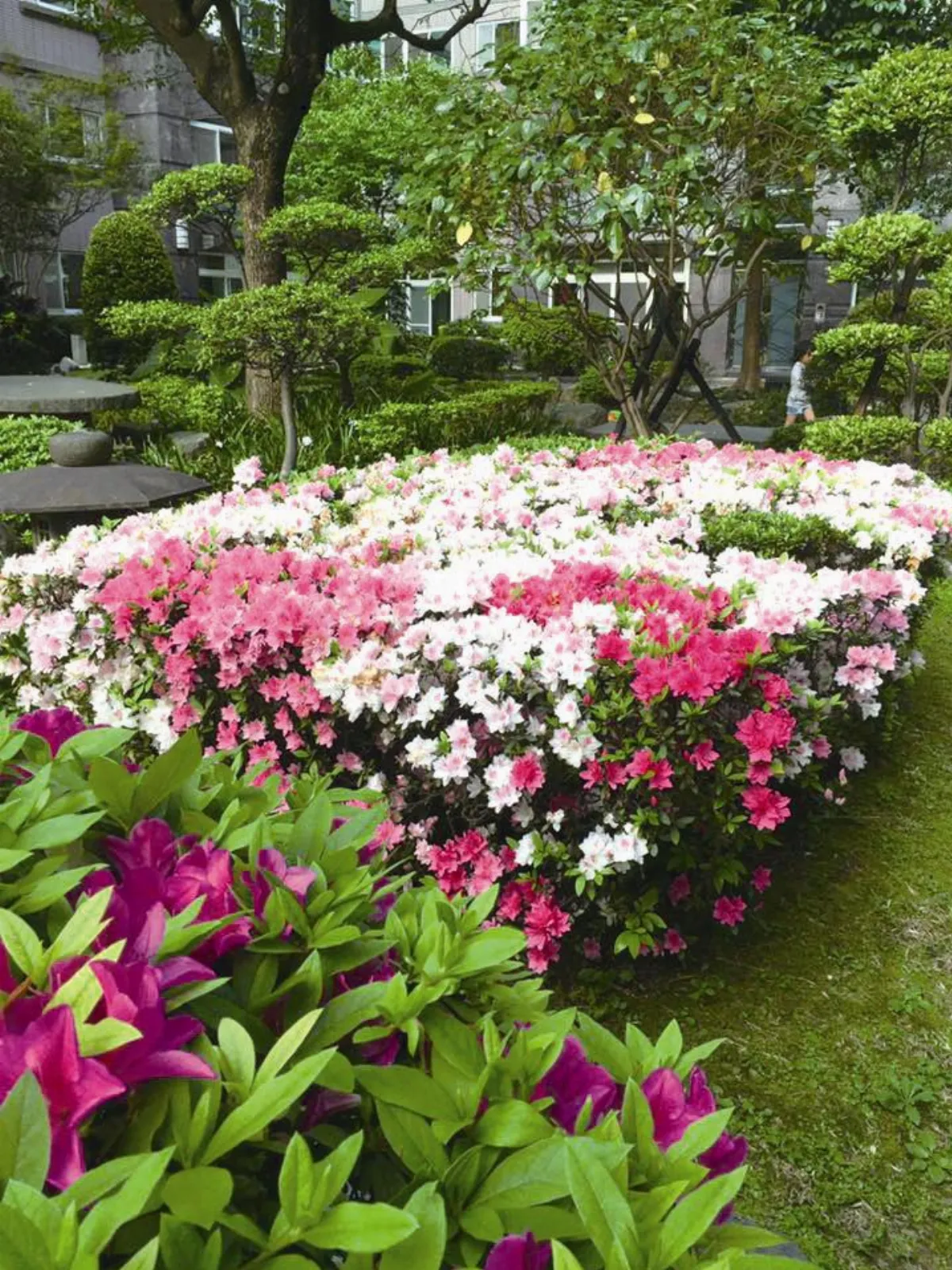 主婦小風景 杜鵑花被單