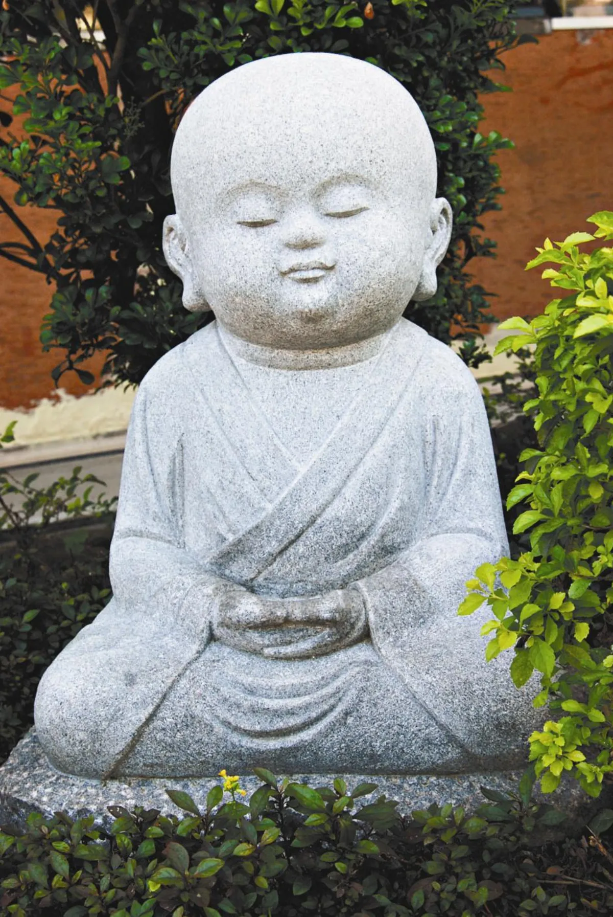 花開禪心    煩惱虛妄