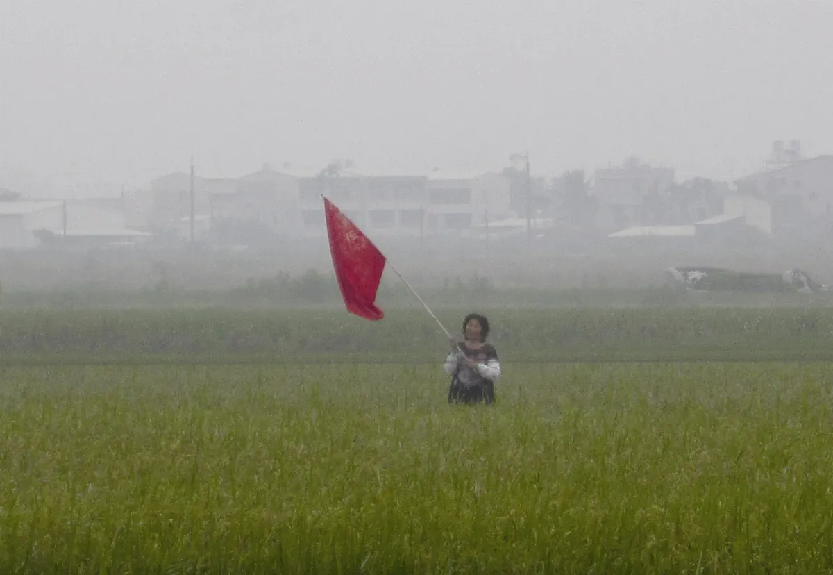 生活快門 嚇鳥良方