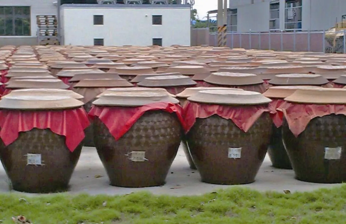 生活快門 醬油缸食安衛兵
