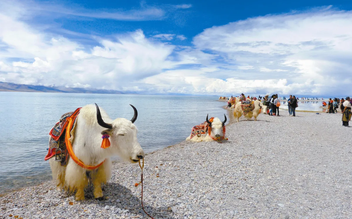 心．視界 遨遊自在