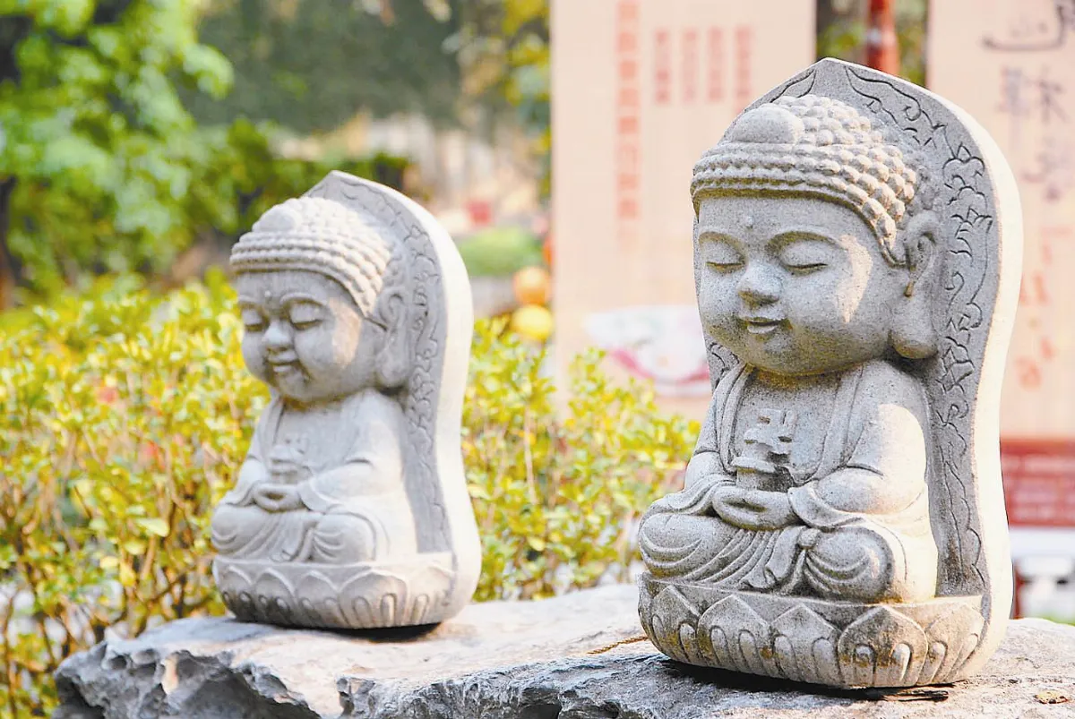花開禪心  誰妄想