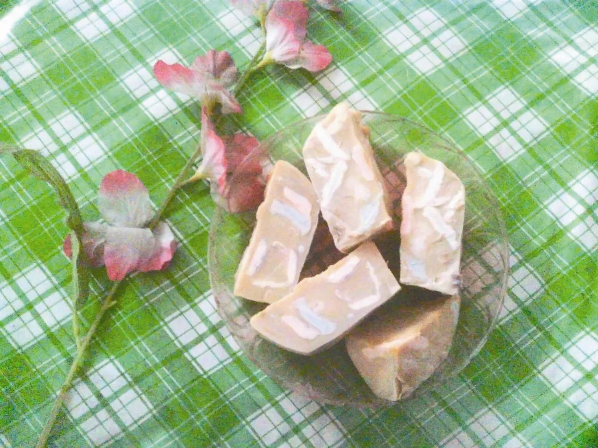 家事達人 重新塑皂
