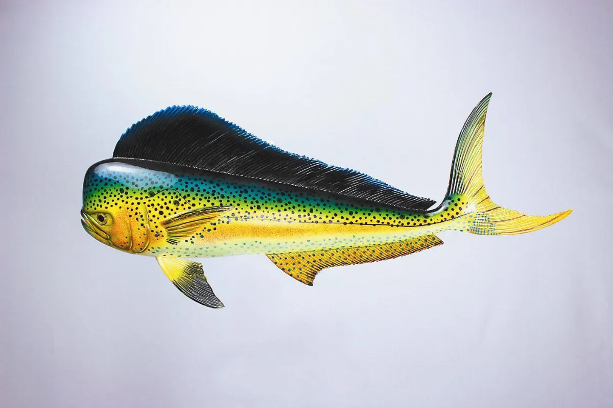 空中的魚 海中的鳥飛魚