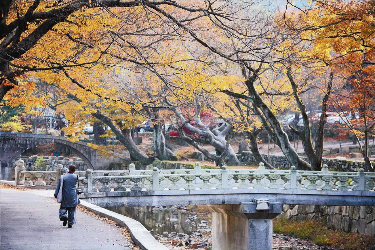 人間系列  《參學瑣憶》序